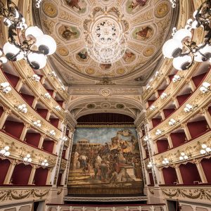 Buon compleanno, Marrucino!